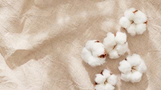 Why Egyptian Cotton?