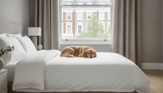 The Best Duvet Cover for Pet Owners: A Guide to Luxury and Durability