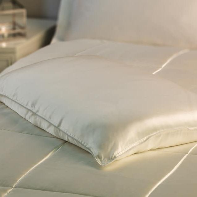 DREAMI Federa Per Cuscino In Pura Seta Di Gelso 19 Momme, Queen Size, Ipoallergenica - Grigio Argento